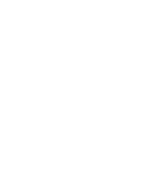 VZ